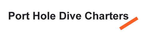 Port Hole Dive Charters